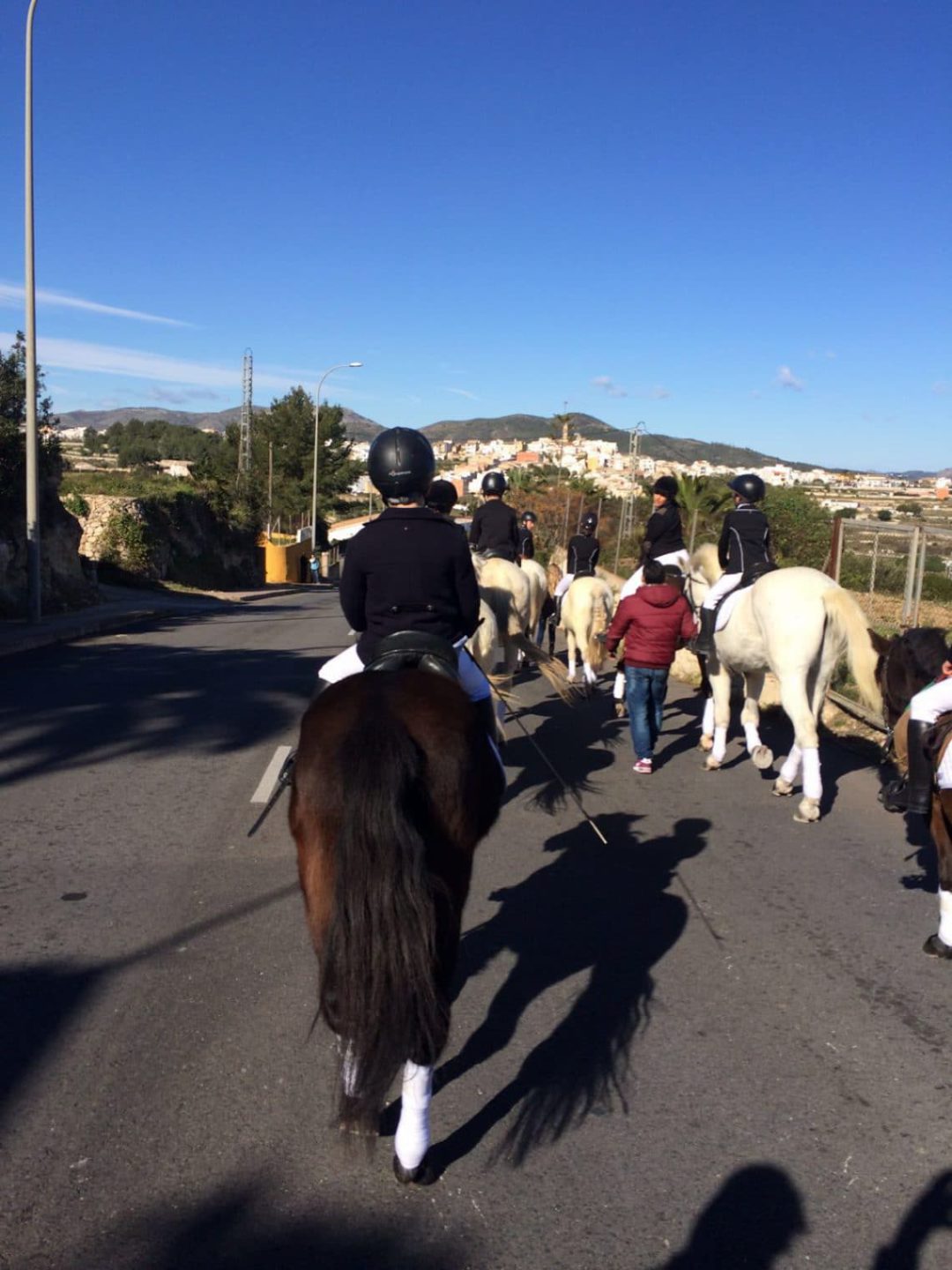 “Cañada del Sol” Equestrian center at San Antonio’s Day in Benitachell.