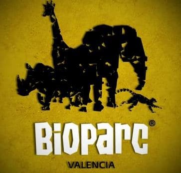Bioparc Valencia Zoo