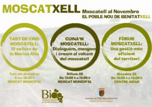 Discover the Moscatell wine this November in Benitatxell