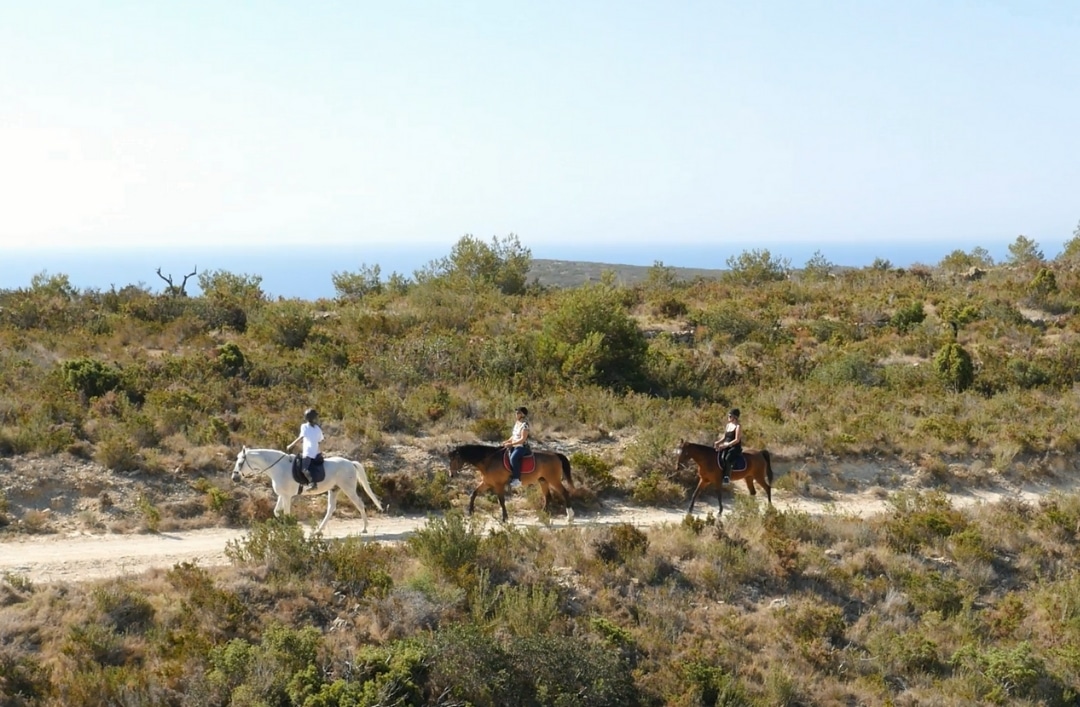 Residential Resort Cumbre del Sol: de perfecte thuisbasis voor gezinnen met kinderen